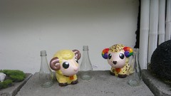 Sheep dolls toys (children)