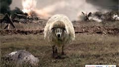 Sheep google battleship vehicles