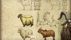 Sheep runescape