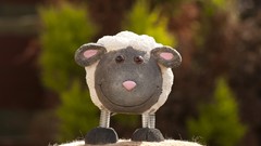 Sheep toys (children)