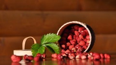 Sheet berry pot Wild