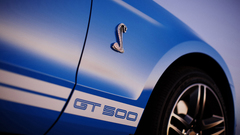 Shelby Ford GT500 Car