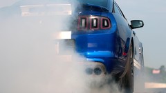 Shelby Ford mustang ford mustang shelby gt500 shelby gt500 