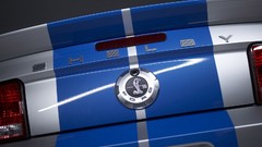 Shelby Mustang Ford Shelby