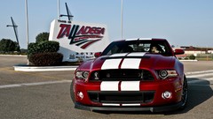 Shelby shelby gt500 Ford Shelby Road Trip Shelby GT500 2013