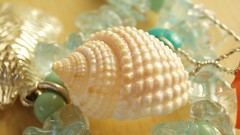 Shell Jewelry