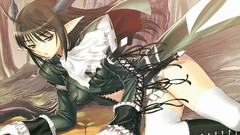 Shining wind Xecty Ein