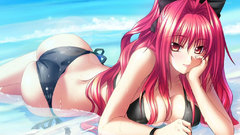 Shinkyoku soukai polyphonica corticarte