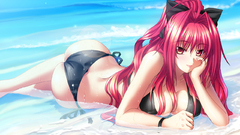 Shinkyoku soukai polyphonica corticarte