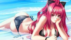 Shinkyoku soukai polyphonica corticarte