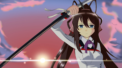 Shinonono houki infinite stratos