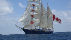 Ship sails Concordia nave