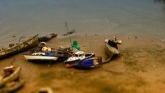 Ships Boats wales vehicles tilt-shift