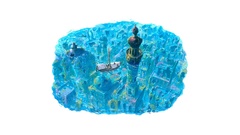 Ships decay Boats decadence