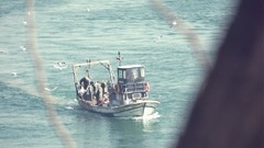 Ships Turkey Istanbul