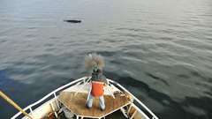 Ships Whales fishing