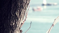 Ships Wood Turkey Istanbul