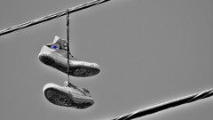 Shoes Converse monochrome power lines