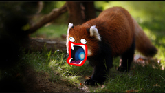 Shoop Da Whoop Photo