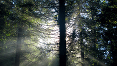 Shoop sorry that took