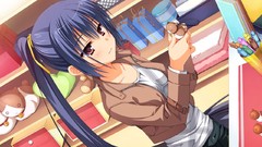 Shop long hair anime girls muririn noble works game cg 