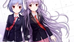 Short hair thigh highs