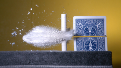 Shotguns sequential Art