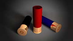 Shotguns shell gauge ammunition