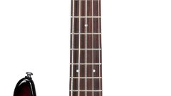 Should Add My Ibanez