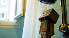 Shower danboard shower head