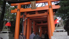 Shrine torii Japanese architecture