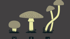 Shroom