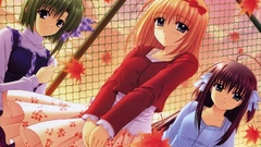 Shuffle Shigure Asa fuyou