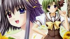 Shuffle Shigure Asa Mayumi