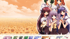 Shufflegirls Manga Anime