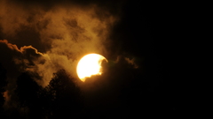 Shutter down dsc stopped