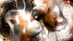 Siamese kiss uteroyes abstract