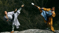 Side kick martial artists