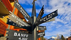 Sign alberta national park banff national park