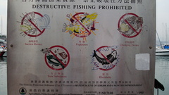 Signs fish fishing