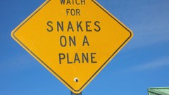 Signs Snakes on a
