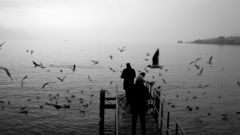 Silence Birds monochrome feetbridge