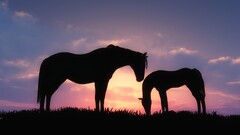 silhouette horse sunset cgi Animals