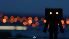 Silhouettes bokeh danboard glowing