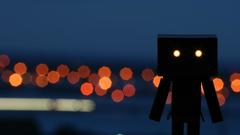 Silhouettes bokeh danboard glowing