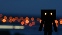 Silhouettes bokeh danboard glowing