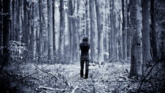 Silhouettes lonely forests