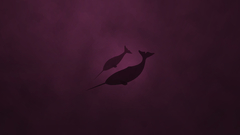 Silhouettes Narwhal