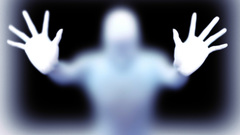 Silhouettes Palms person