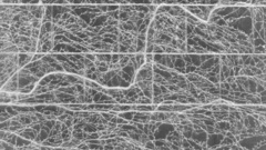 Silver vines moar abstract